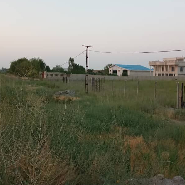 photo_2_2025-09-12_13-56-13