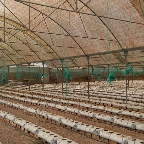 photo_4_2025-09-12_13-57-59