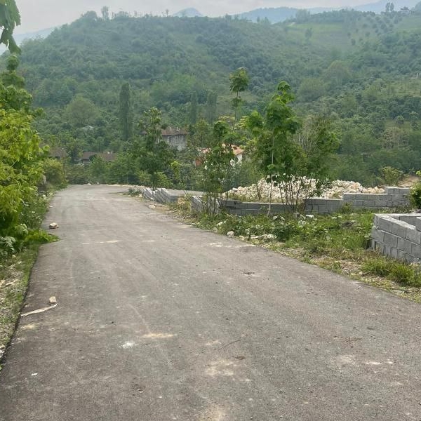 photo_7_2025-09-17_17-52-16